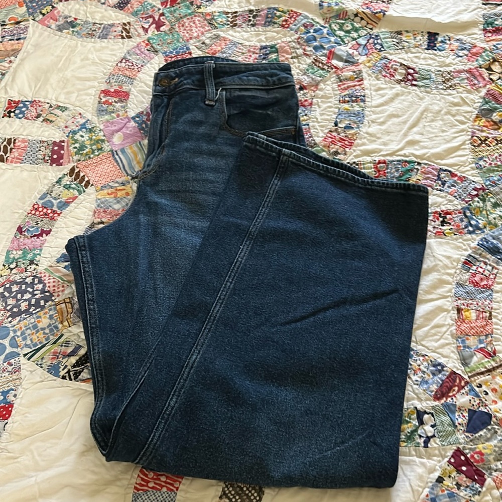 Hollister High Rise Vintage Baggies Size 11R